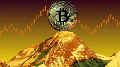 Why is the Bitcoin price Up today
