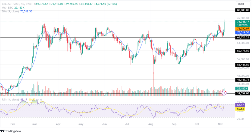 Bitcoin Price Analysis 06th November 2024