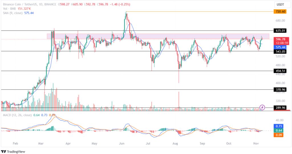 Binance Price Analysis 08th November 2024