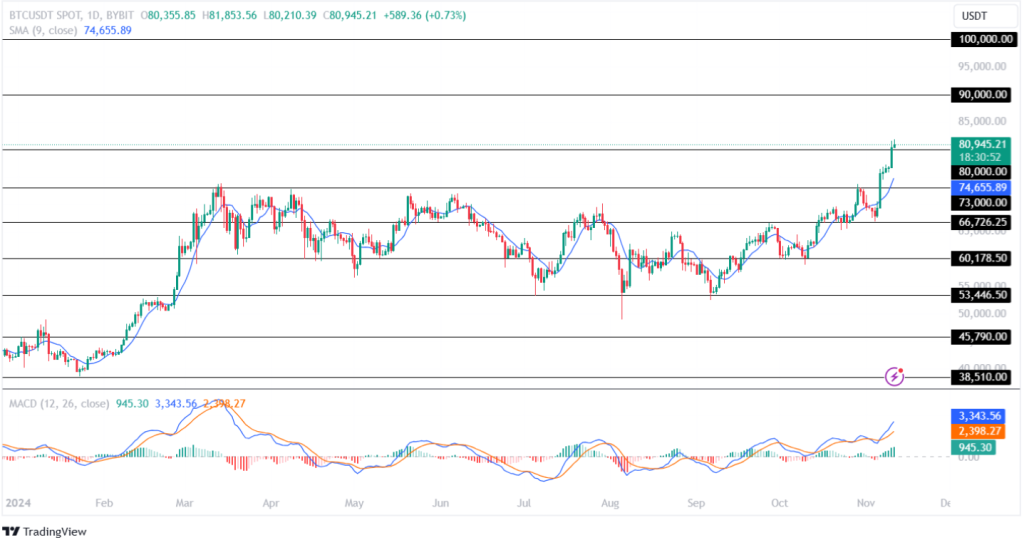 Bitcoin Price Prediction 11th November 2024