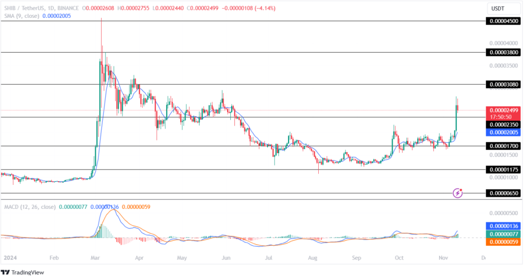 Shiba Inu Price Prediction 11th November 2024