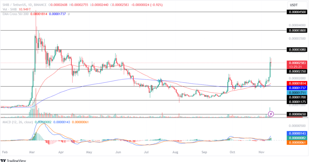 Shiba Inu Price Analysis 11th November 2024