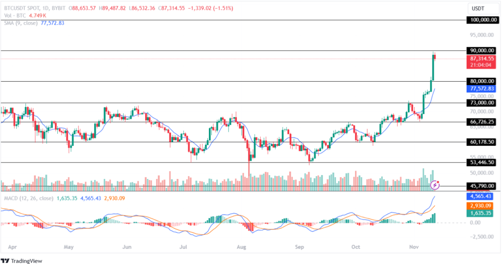 Bitcoin Price Analysis 12th November 2024