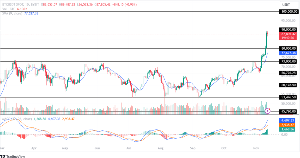 Bitcoin Price Prediction November 2024