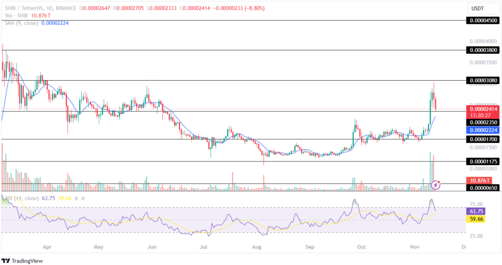 Shiba Inu Price Analysis 13th November 2024