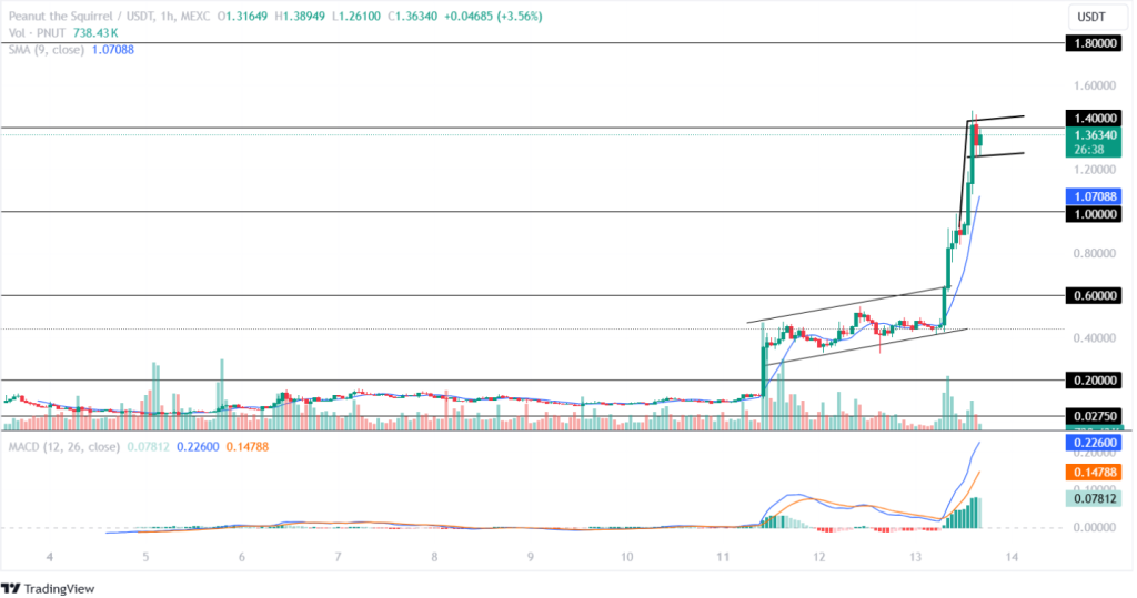 PNUT Price Analysis 13th November 2024