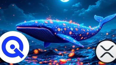 xrp-wallitiq