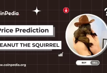 Price Prediction Peanut the Squirrel