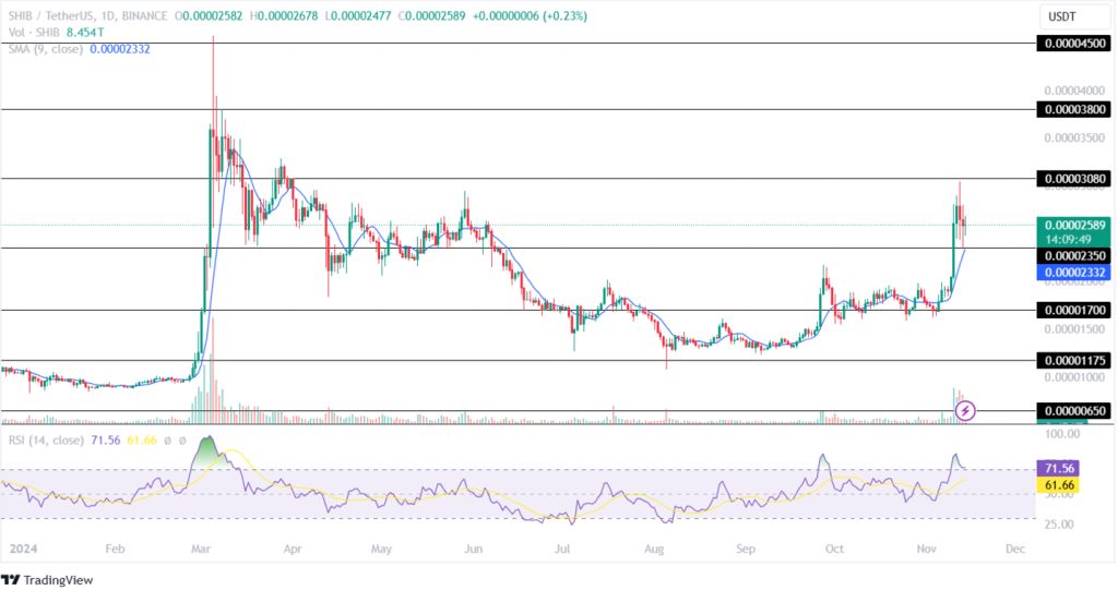 Shiba Inu Price Analysis 14th November 2024