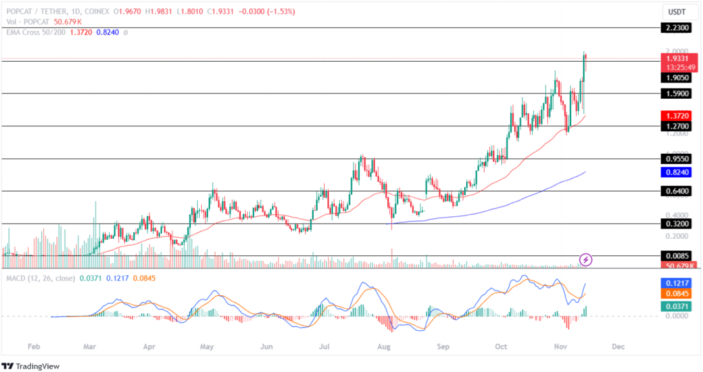 Popcat Price Analysis 14th November 2024