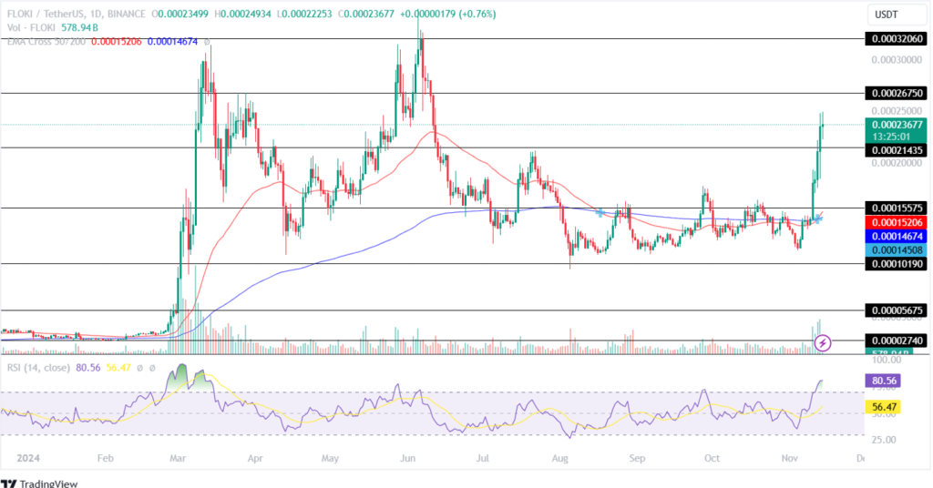 Floki Price Analysis 14th November 2024