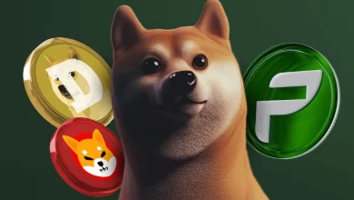 propichain-doge-shib