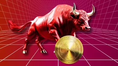 Is XRP Ready to Skyrocket Bitwise CIO Reveals Why XRP’s Full Potential is Still Untapped
