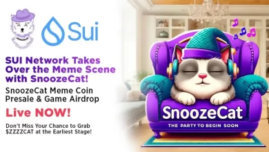snooze-cat_11zon