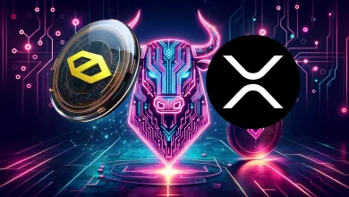 cybro-xrp