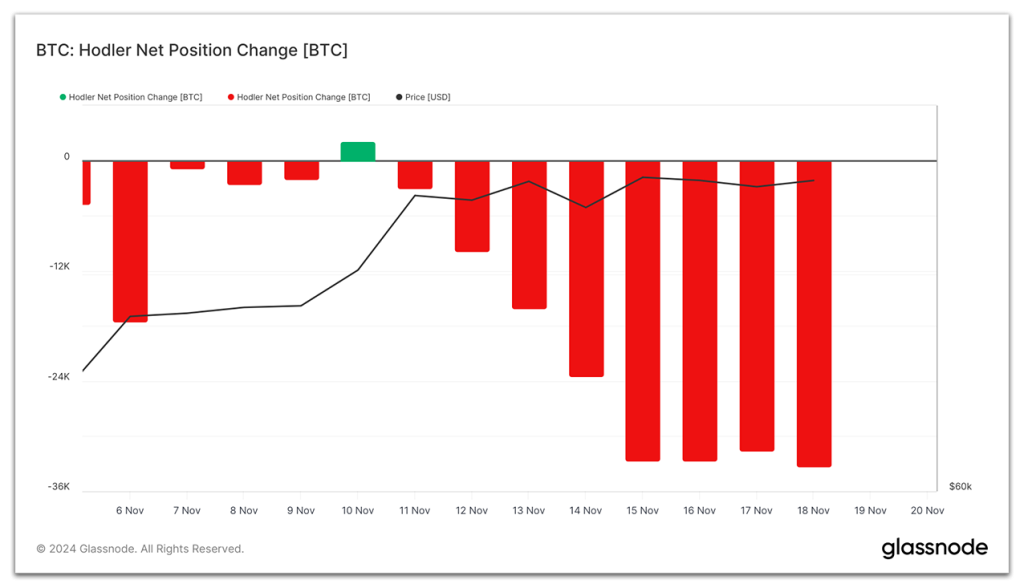 bitcoin hodlers position change