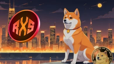rexas-finance-doge