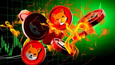 Shiba Inu Price Surge Will Burning 99% of SHIB Tokens Lead to $1