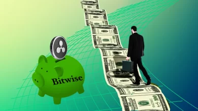 Bitwise Launches Rebranded XRP ETF, Ripple's Investment Drives Market Growth