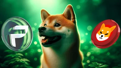 shib-pchain