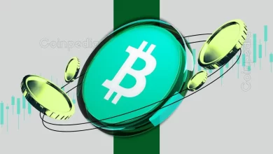 How Will BSV And BCH Price React As BTC Price Hits $100k