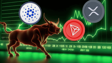 XYZVerse