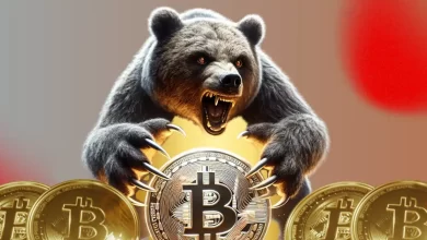 Bitcoin Displaying a Bearish Divergence Is This a Matter of Concern for the BTC Price Rally?