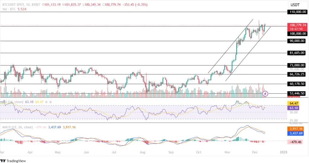 Bitcoin Price Stays Above the $100k Mark!