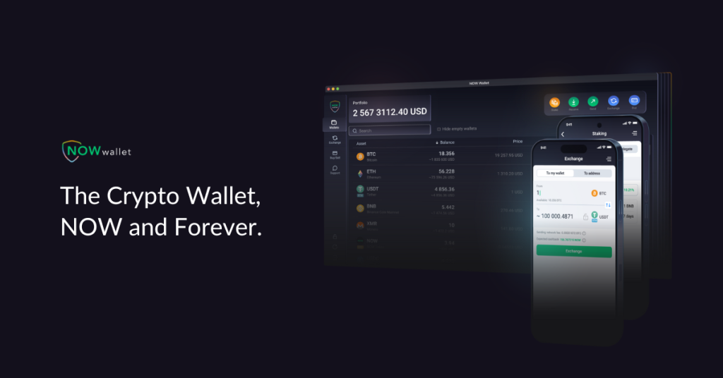 NOW Wallet Review: Multi-Currency Support, Extensive In-App Functionality, and Pro Membership Benefits