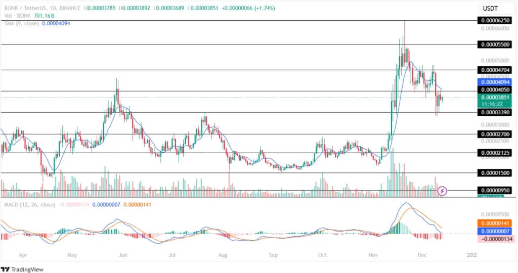 Bonk Price Analysis 13th December 2024