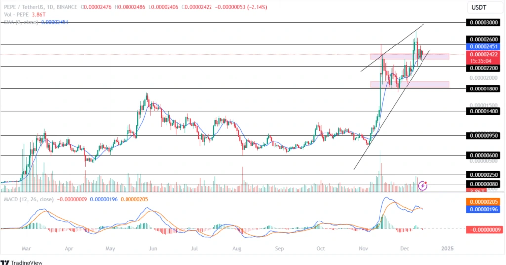 Pepe Coin Price Prediction 14th December 2024