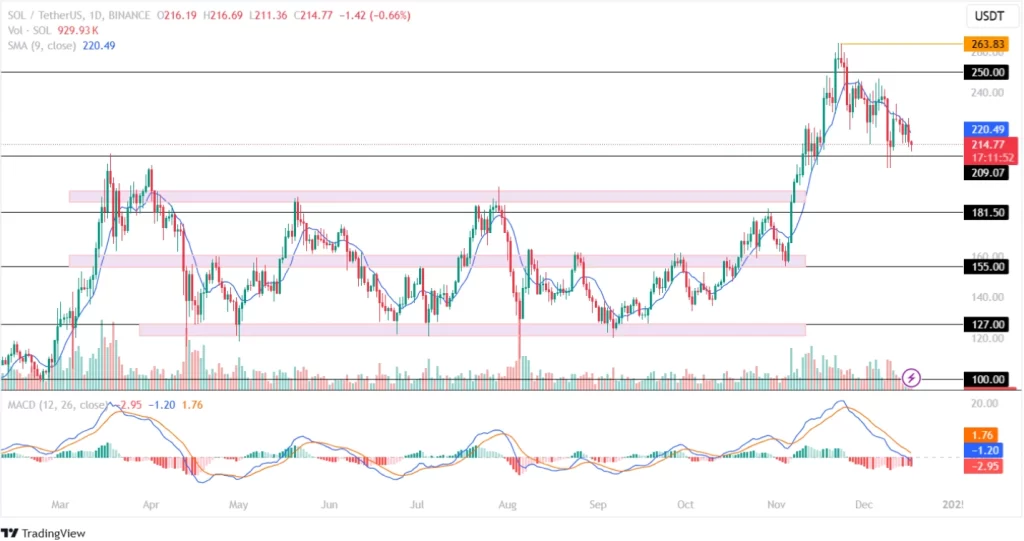 Solana Price Prediction 17th December 2024