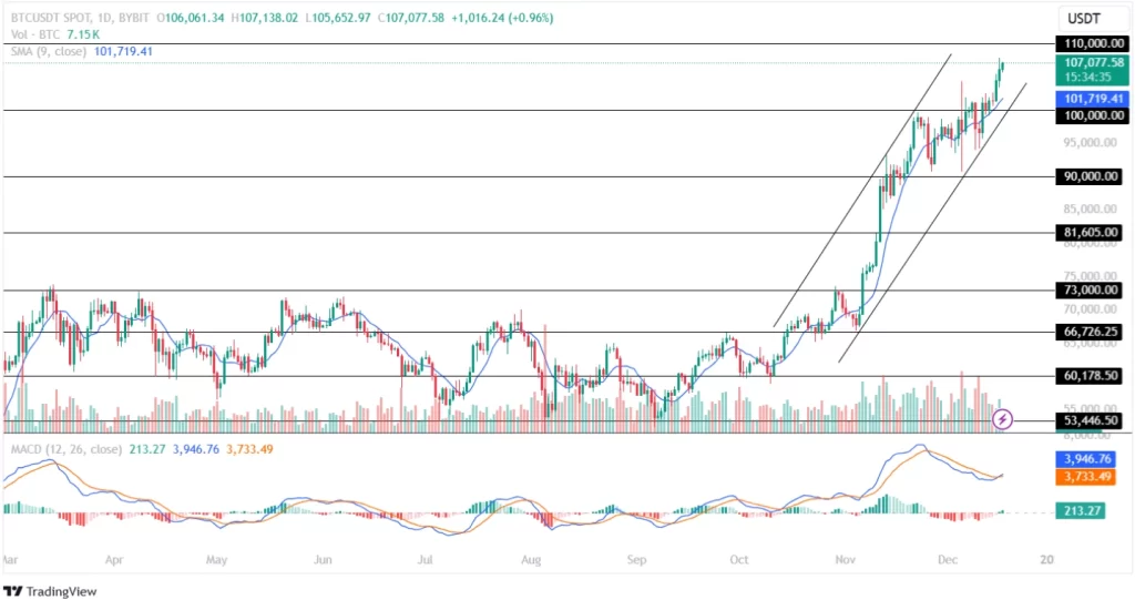 Bitcoin Price Prediction 17th December 2024