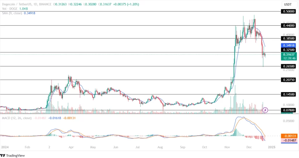 Dogecoin Price Chart