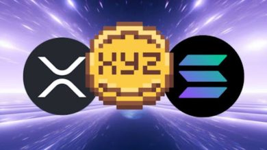 XYZVerse
