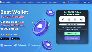 best-wallet (1)
