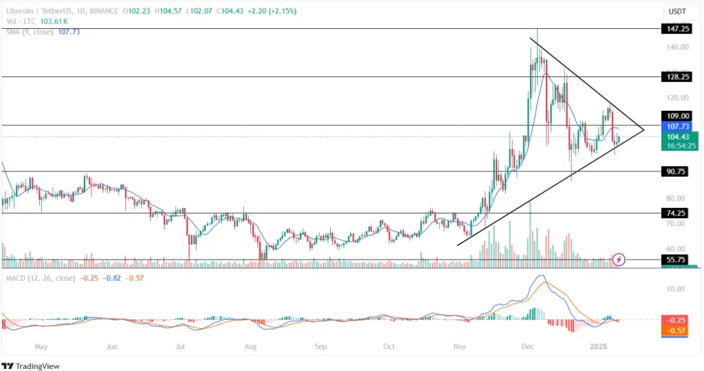 Litecoin Price Analysis 10th January 2025