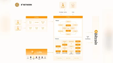 b2-network