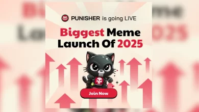 punisher-coin