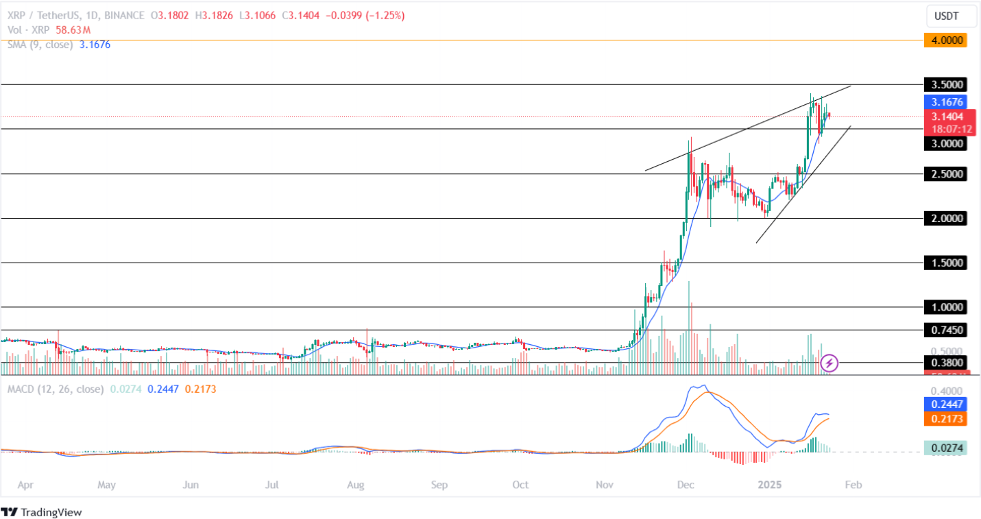 XRP Price Analysis 23-01-2025