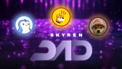 skyren-dao