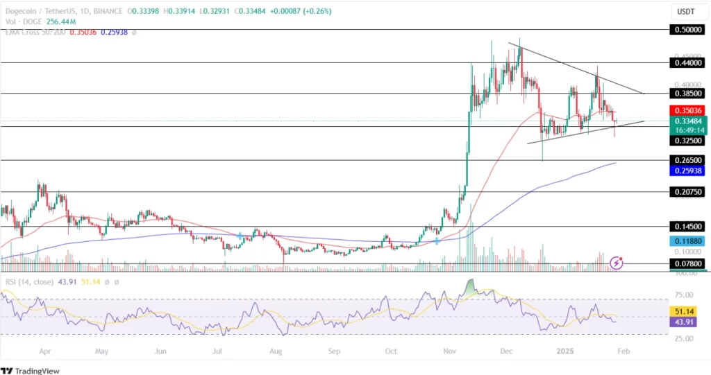 Dogecoin Price Analysis 28th January 2025