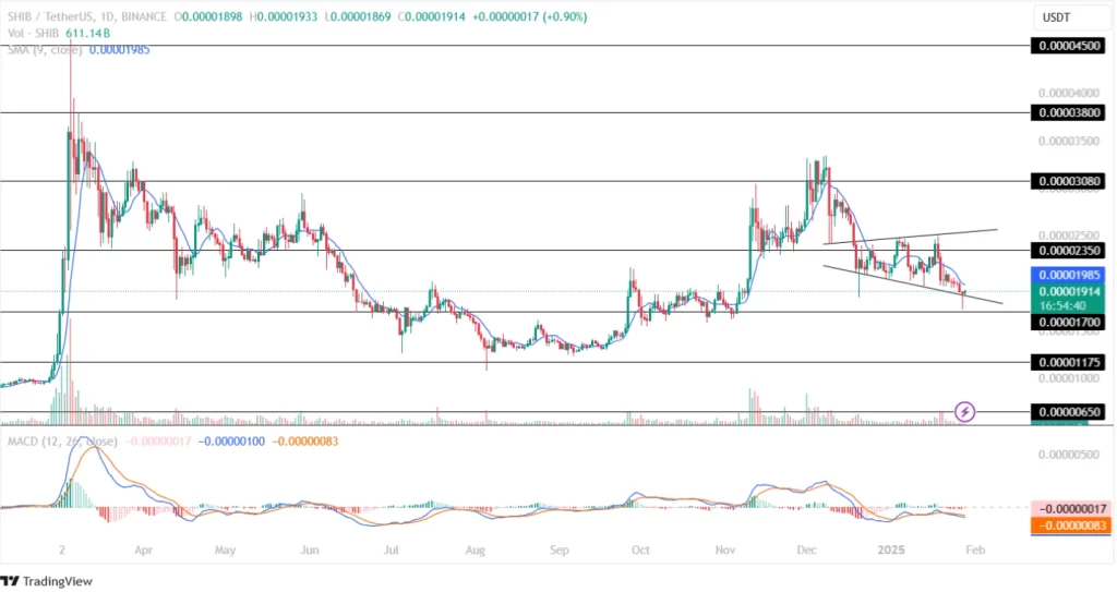 Shiba Inu Price Analysis 28th January 2025