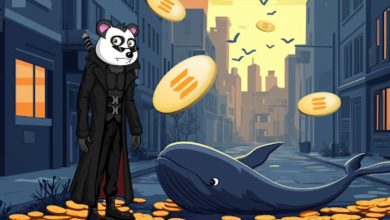 Panshibi presale