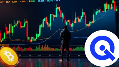 bitcoin-wallit-iq