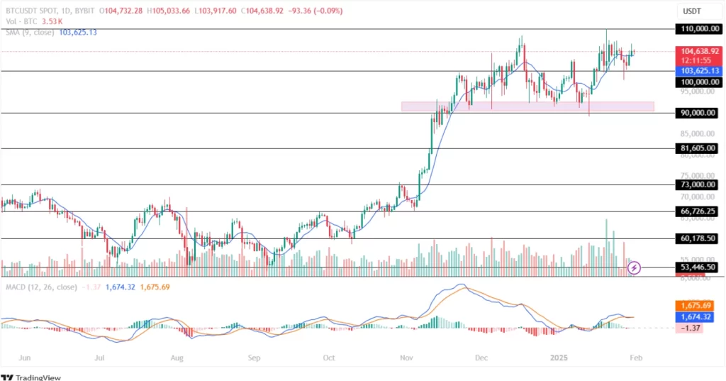 BTC price analysis January 31, 2025