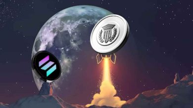 Mutuum Finance