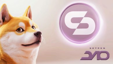 Skyren DAO