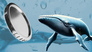 Whales Turn Bearish on This Popular Altcoin—Will it Plunge by 35% This Month?