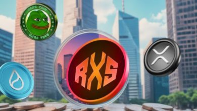 Rexas Finance